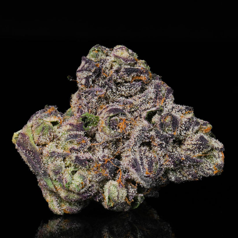 Rainbow Sherbert THCA Flower (Hybrid) | Lit Farms – Lost In Translation