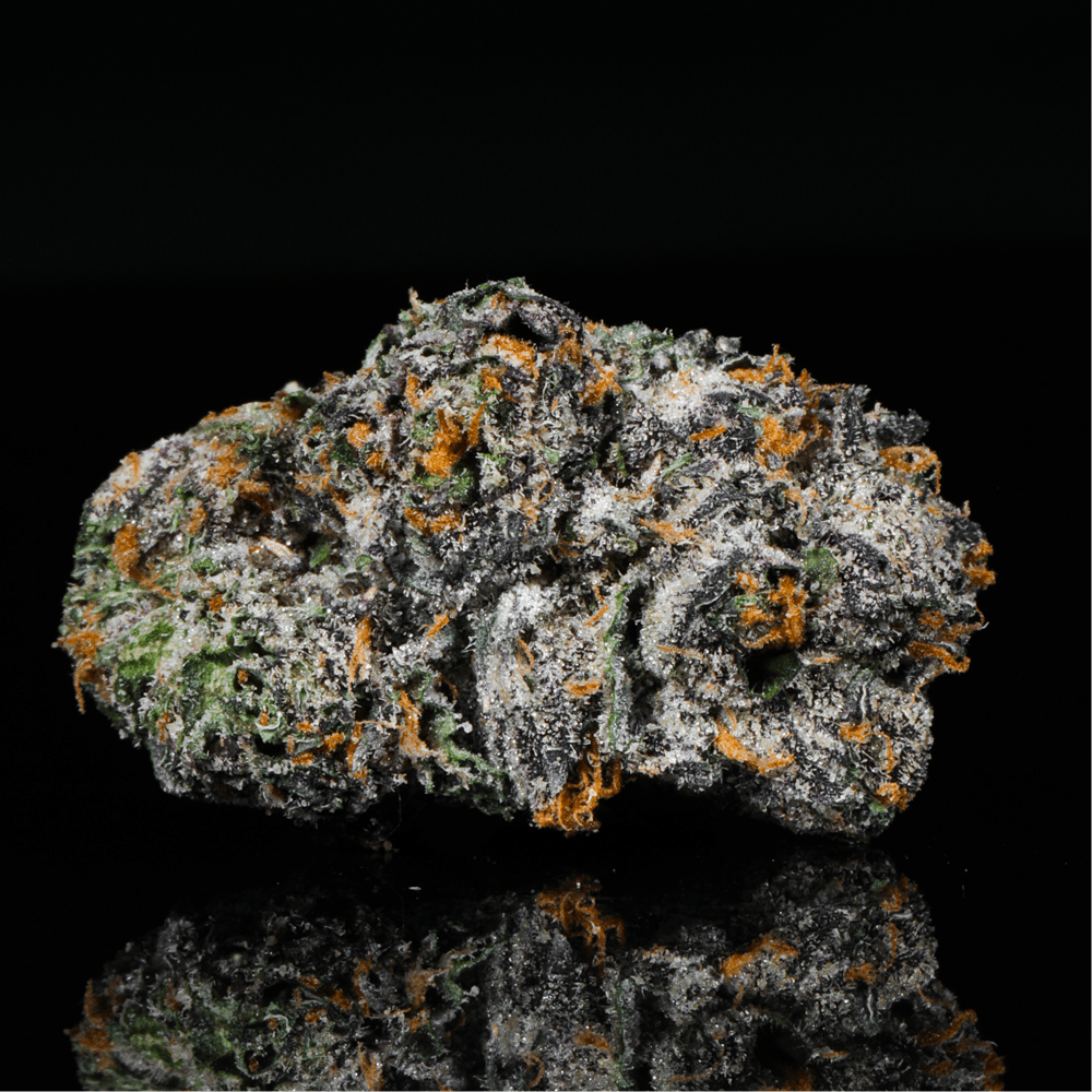 Rocket Fuel THCA Flower - Lost In Translation