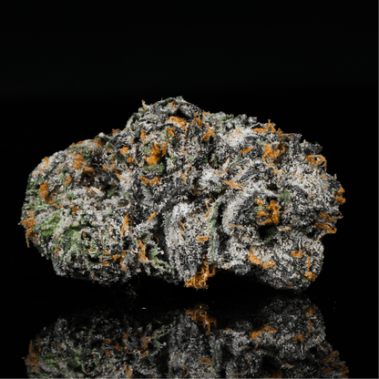 Rocket Fuel THCA Flower - Lost In Translation