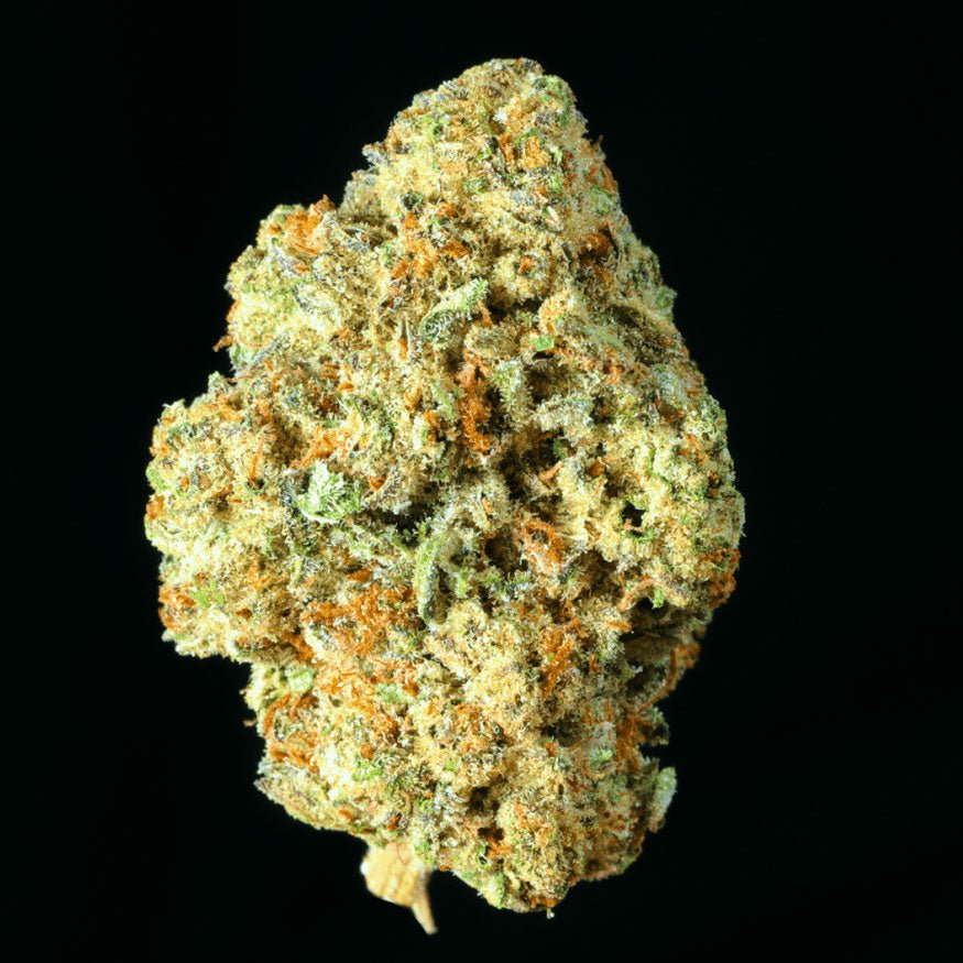 Runtz THCA Flower - Lost In Translation