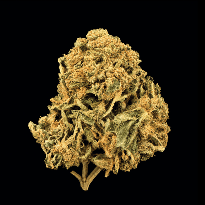 Runtz OG THCA Flower - Lost In Translation