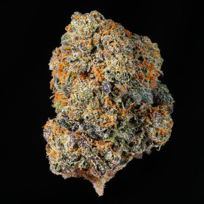 SVF OG THCA Flower - Lost In Translation