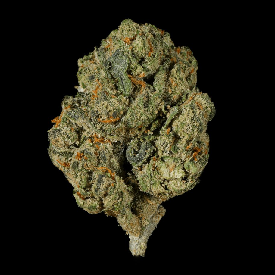 Shake Shack THCA Flower - Lost In Translation