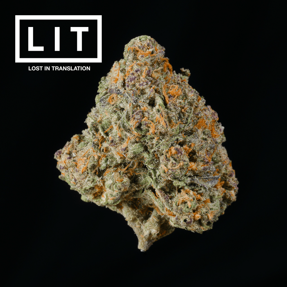 Sharpiez THCA Flower - Lost In Translation