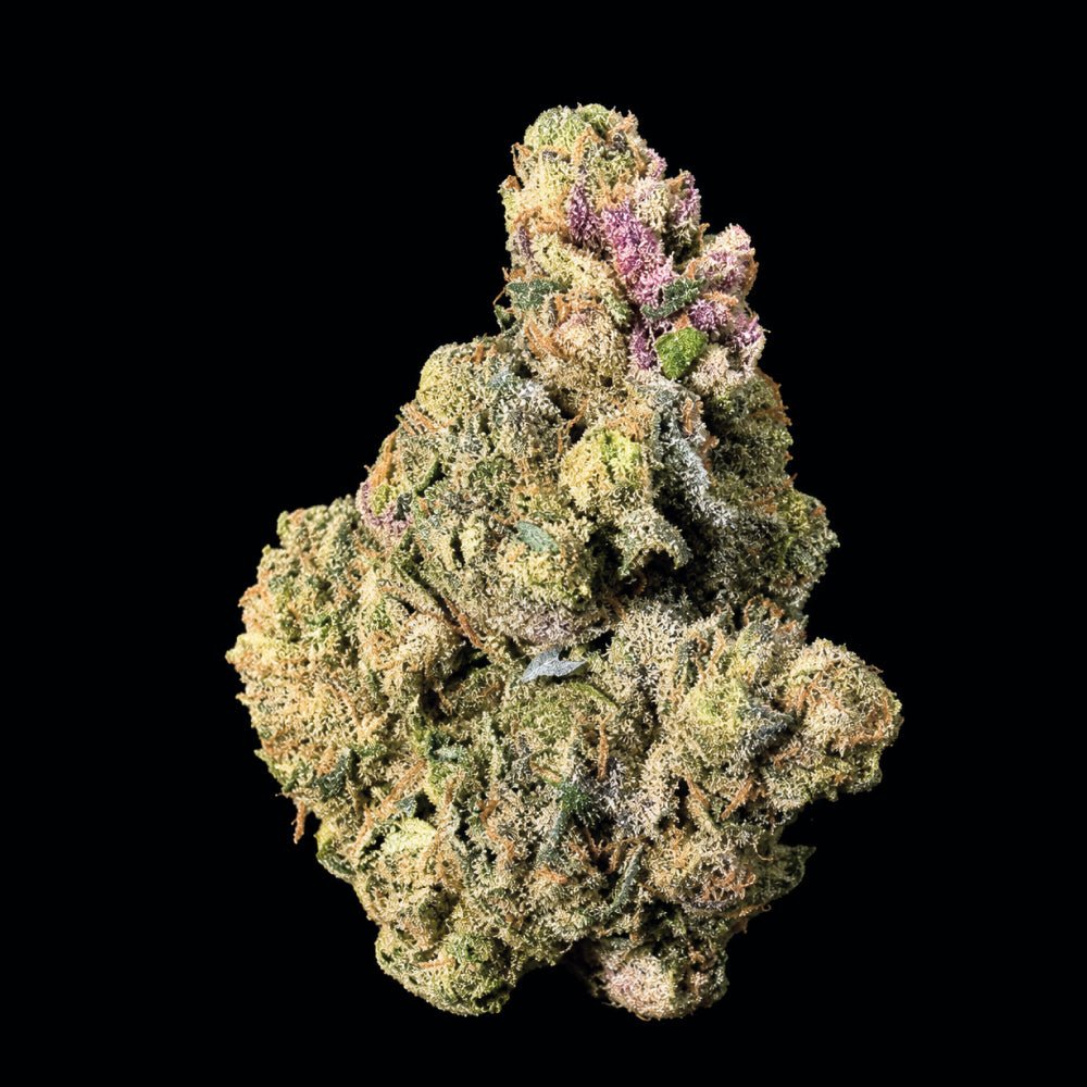 Sharpiez THCA Flower - Lost In Translation
