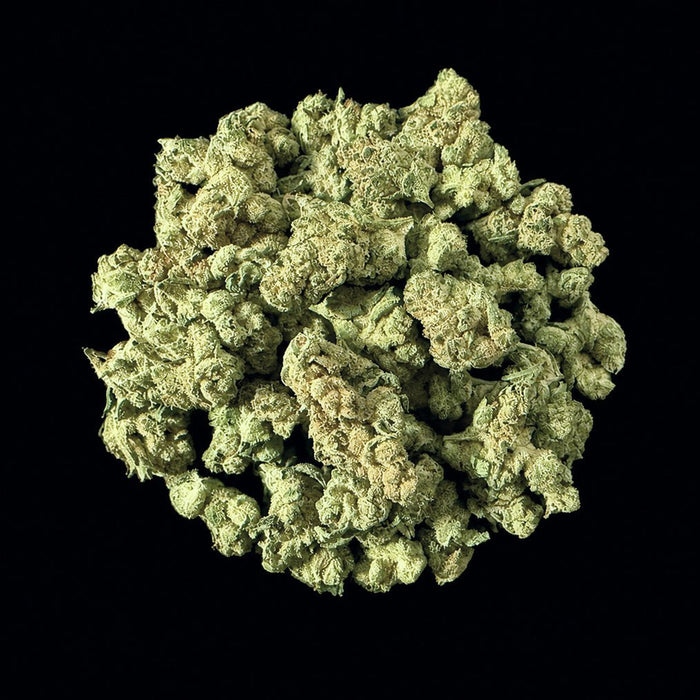 Sharpiez THCA Flower - Lost In Translation