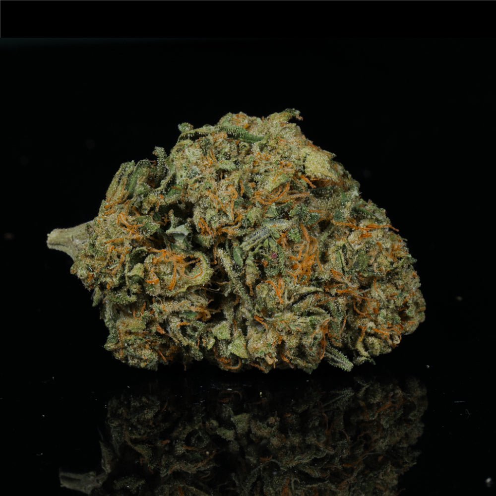 Sherbert THCA Flower - Lost In Translation