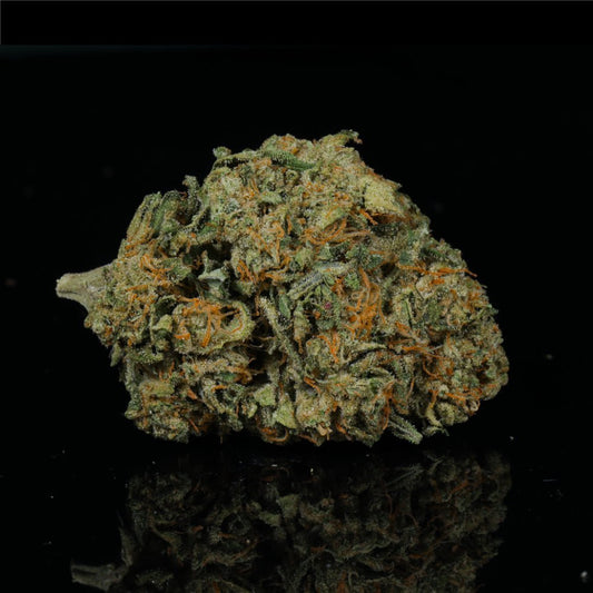 Sherbert THCA Flower - Lost In Translation