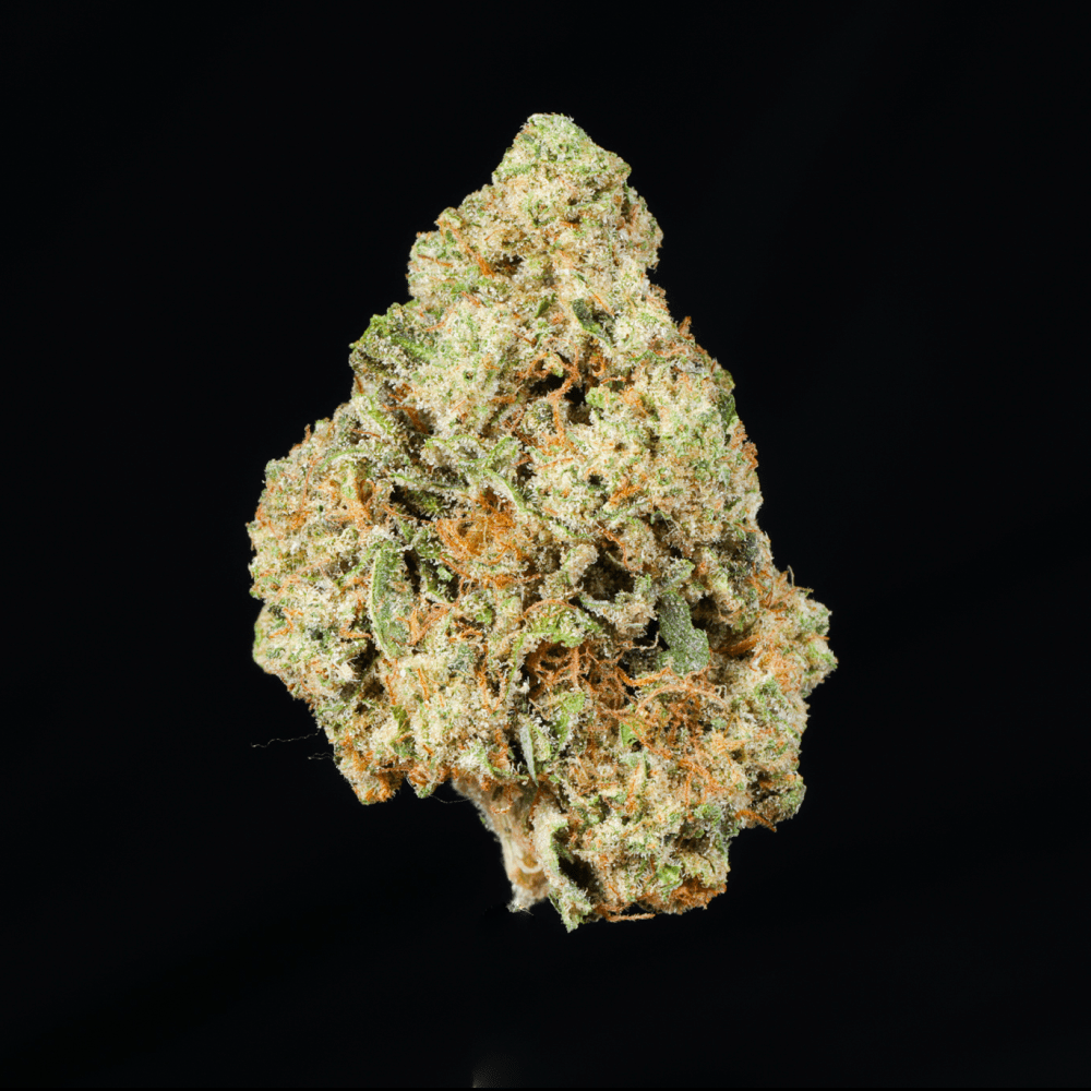 Snow Man THCA Flower - Lost In Translation