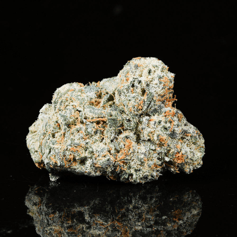 Snow Man THCA Flower - Lost In Translation