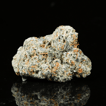 Snow Man THCA Flower - Lost In Translation