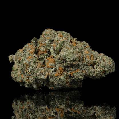 Snow Man THCA Flower - Lost In Translation