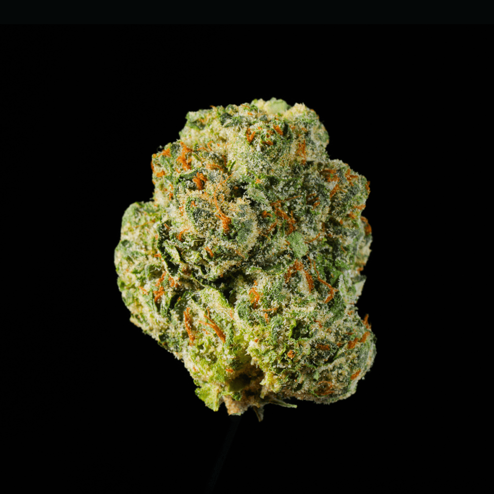 Sour Lemon THCA Flower - Lost In Translation
