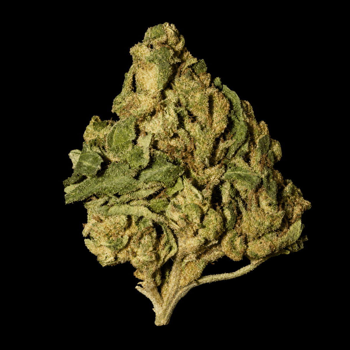 Sour Apple THCA Flower - Lost In Translation