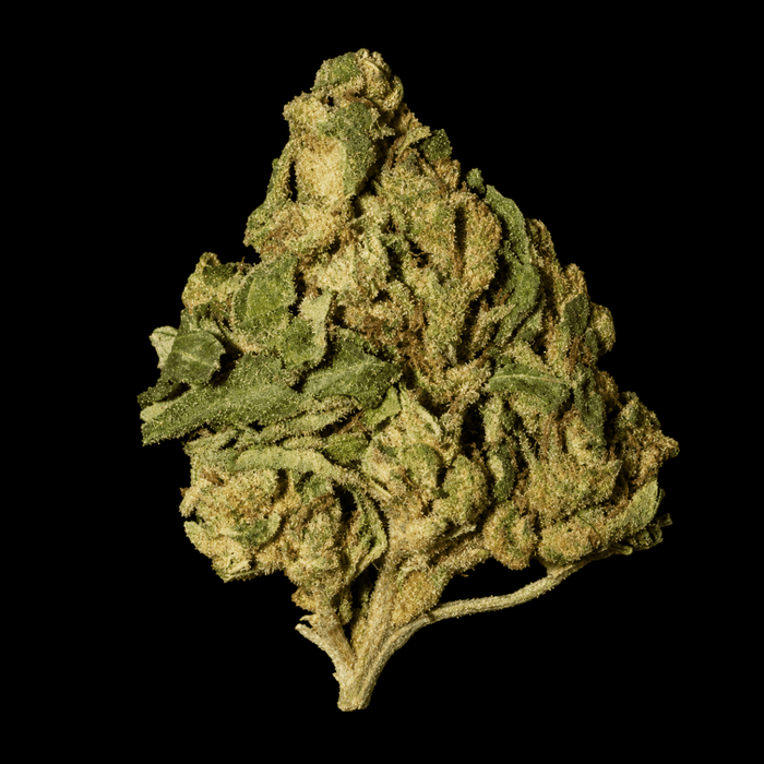 Sour Apple THCA Flower - Lost In Translation