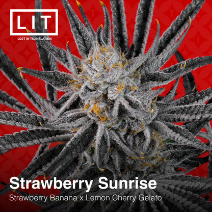 Strawberry Sunrise