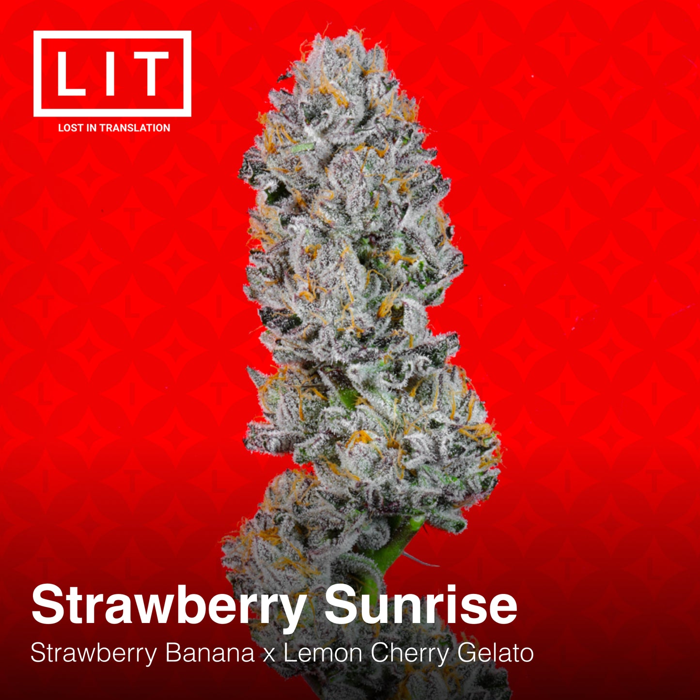 Strawberry Sunrise