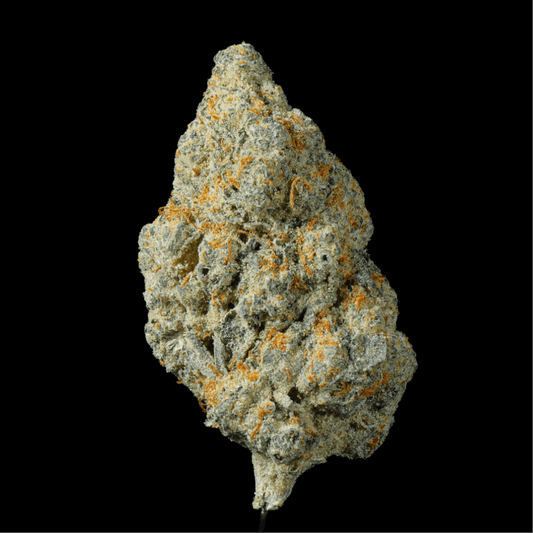 Sugar Tab THCA Flower - Lost In Translation