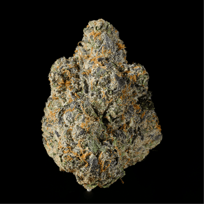 Sugar Tab THCA Flower - Lost In Translation