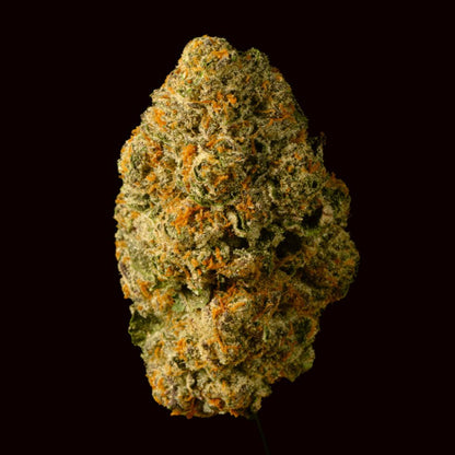 Sunday Driver THCA Flower - Lost In Translation