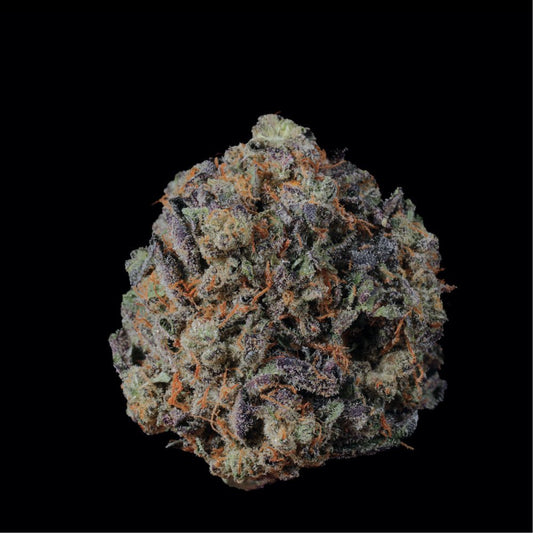 Sunset Sherb THCA Flower - Lost In Translation