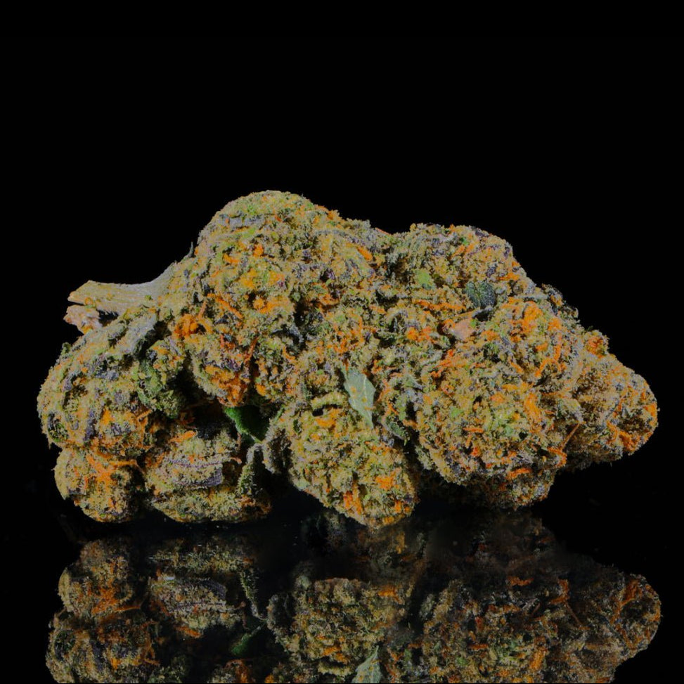 Sunset Sherb THCA Flower - Lost In Translation