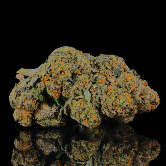 Sunset Sherb THCA Flower - Lost In Translation