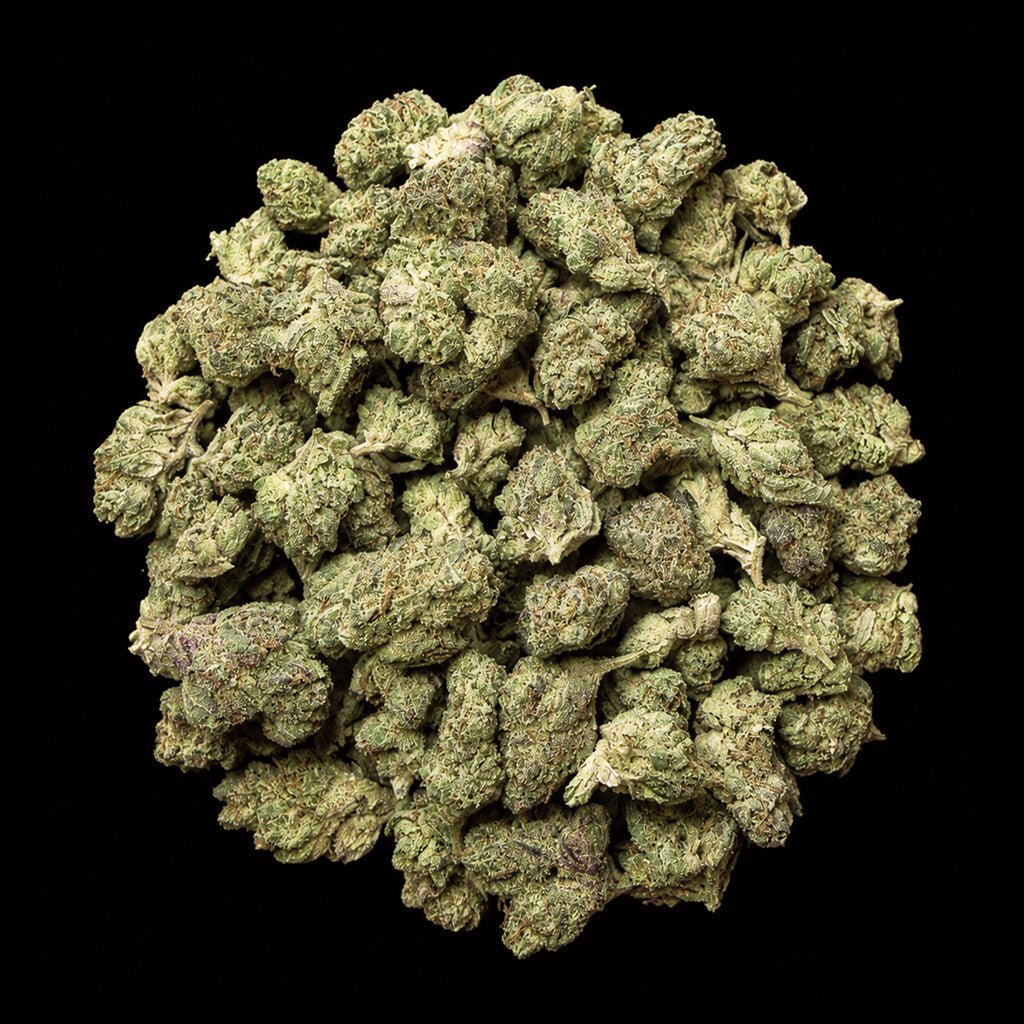 Super Boof THCA Flower - Lost In Translation