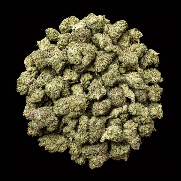 Super Boof THCA Flower - Lost In Translation
