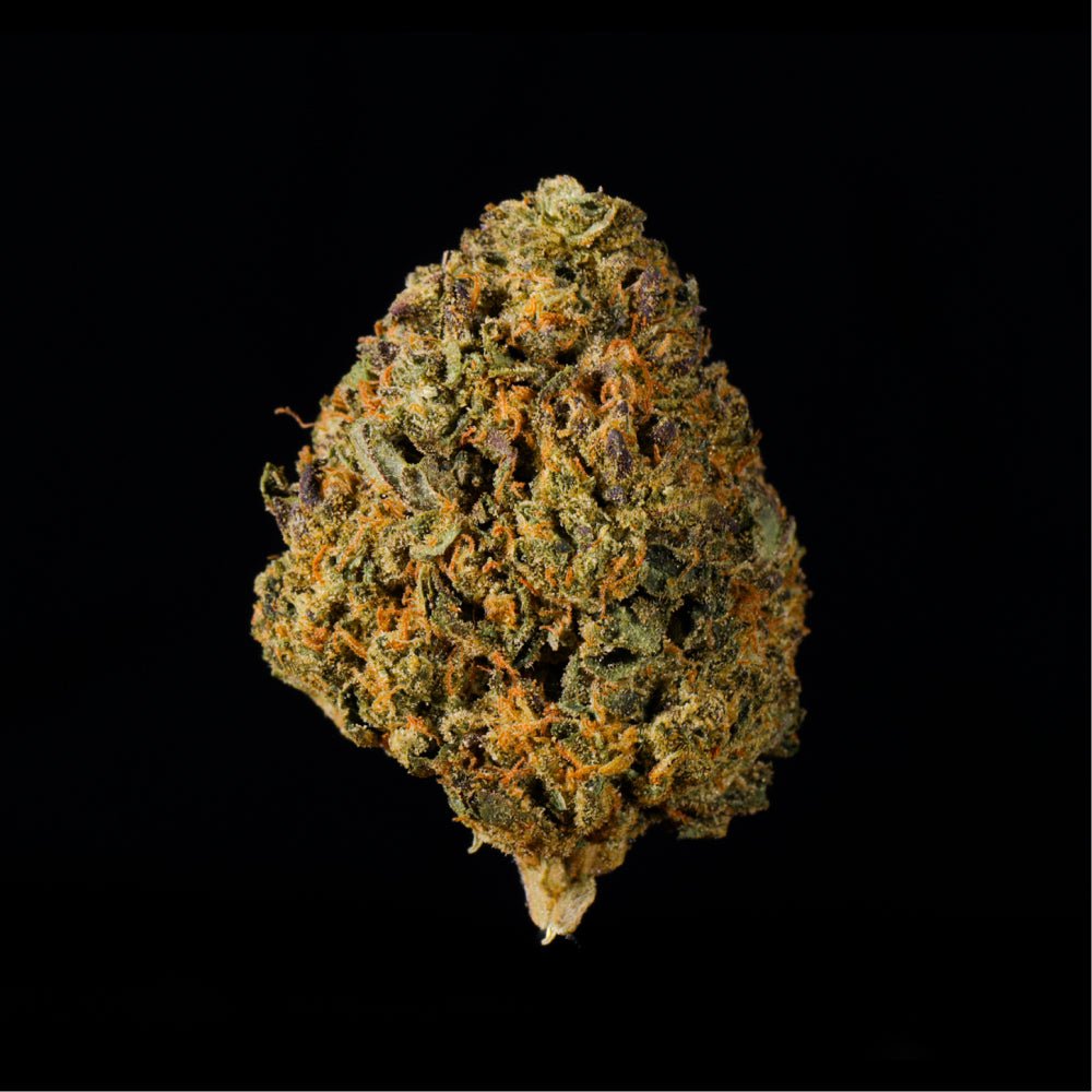 Temptation THCA Flower - Lost In Translation