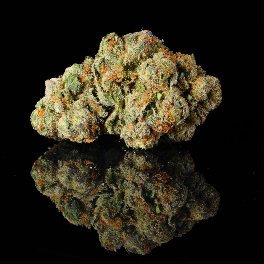 The Soap THCA Flower - Lost In Translation