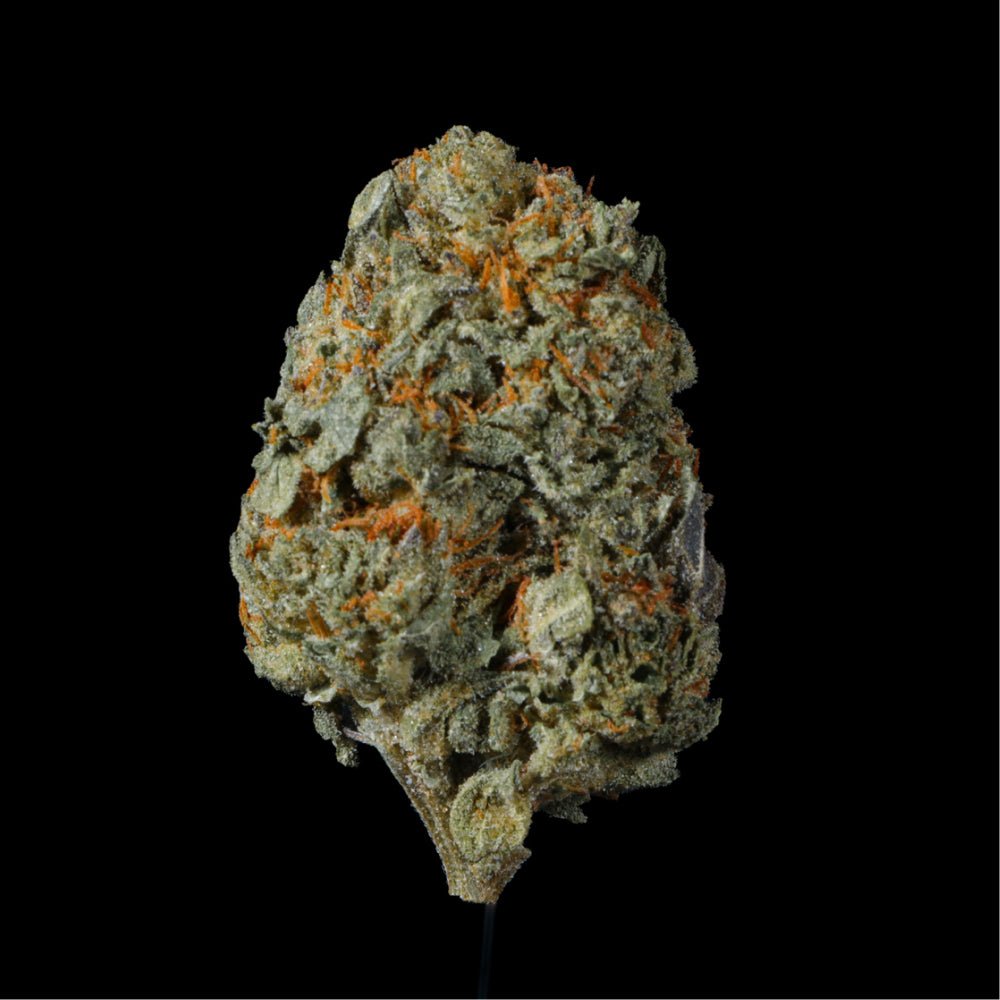 Thin Mint Cookies THCA Flower - Lost In Translation