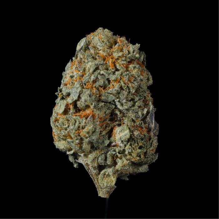 Thin Mint Cookies THCA Flower - Lost In Translation