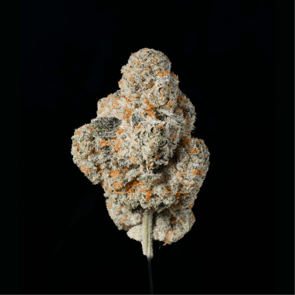 Trainwreck THCA Flower (Sativa-Dominant Hybrid) | Lit Farms – Lost