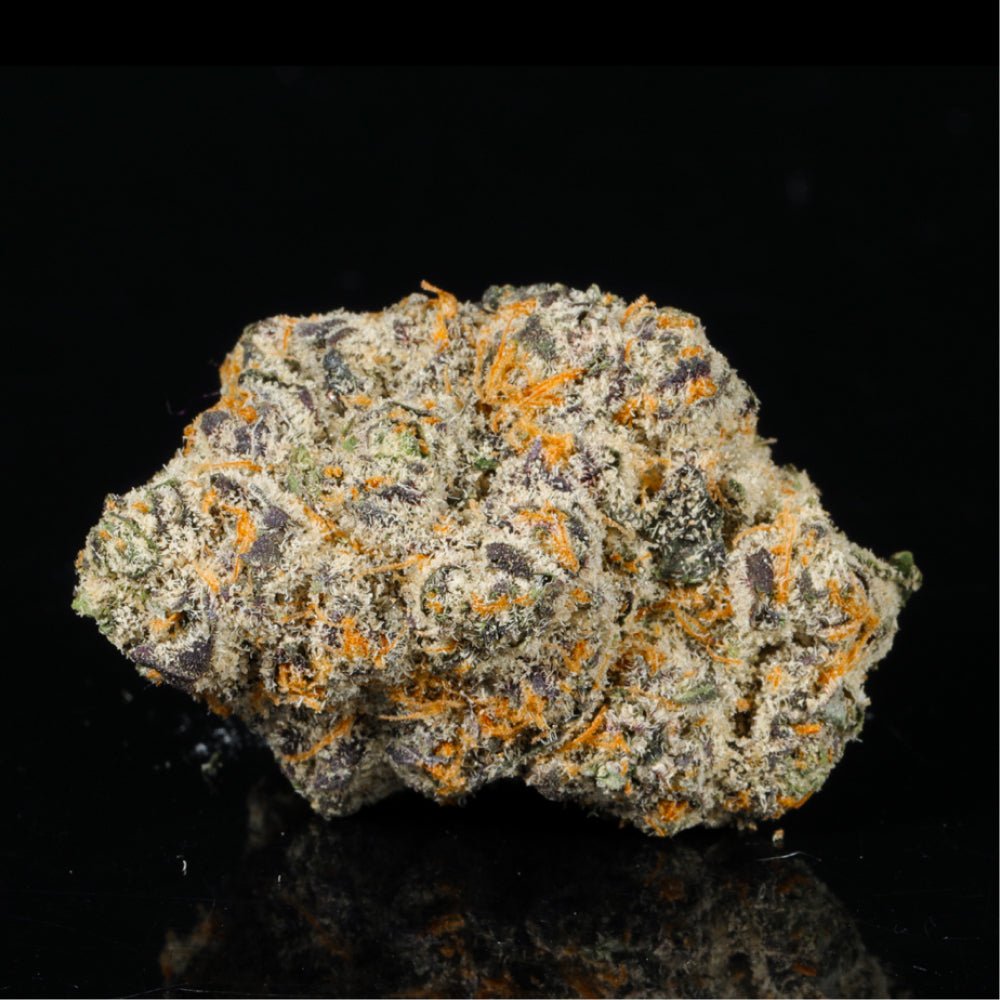 Triple Blue Slushie THCA Flower - Lost In Translation