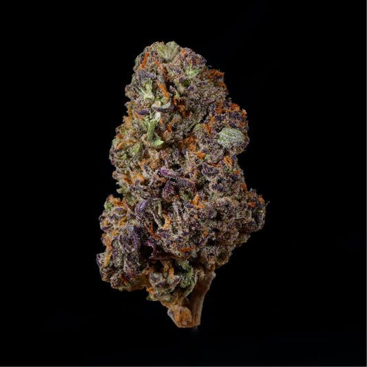 Tropical Gelato THCA Flower - Lost In Translation