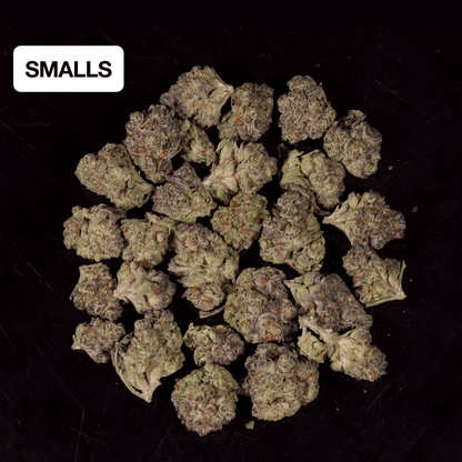 Tropicana Cherry THCA Flower - Lost In Translation