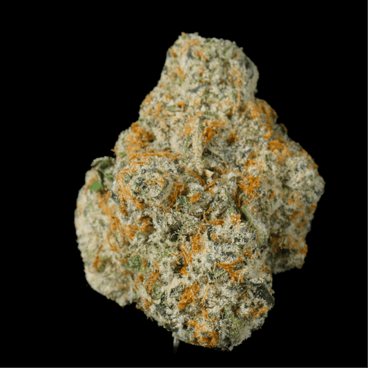 Tropical Gelato THCA Flower - Lost In Translation