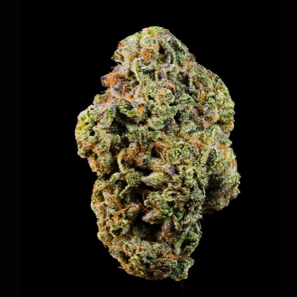 Vanilla Runtz THCA Flower - Lost In Translation