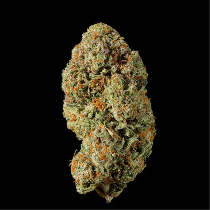 Velvet Gas THCA Flower - Lost In Translation