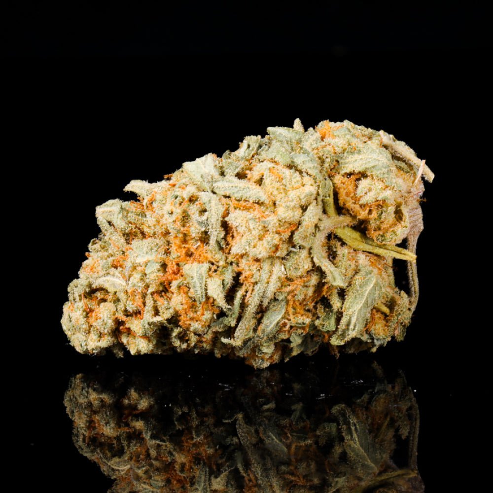 Venom OG THCA Flower (Indica-Leaning Hybrid) | Lit Farms – Lost In