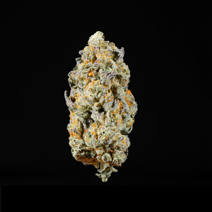 Venom OG THCA Flower