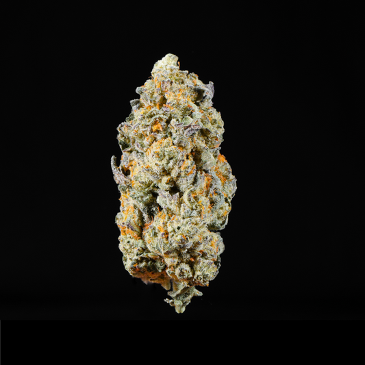 Venom OG THCA Flower