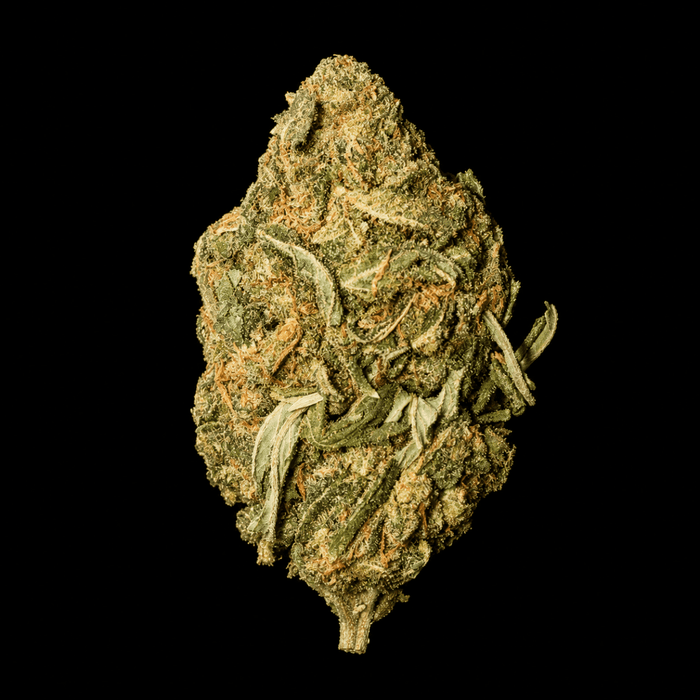 Wedding Cake THCA Flower - Lost In Translation