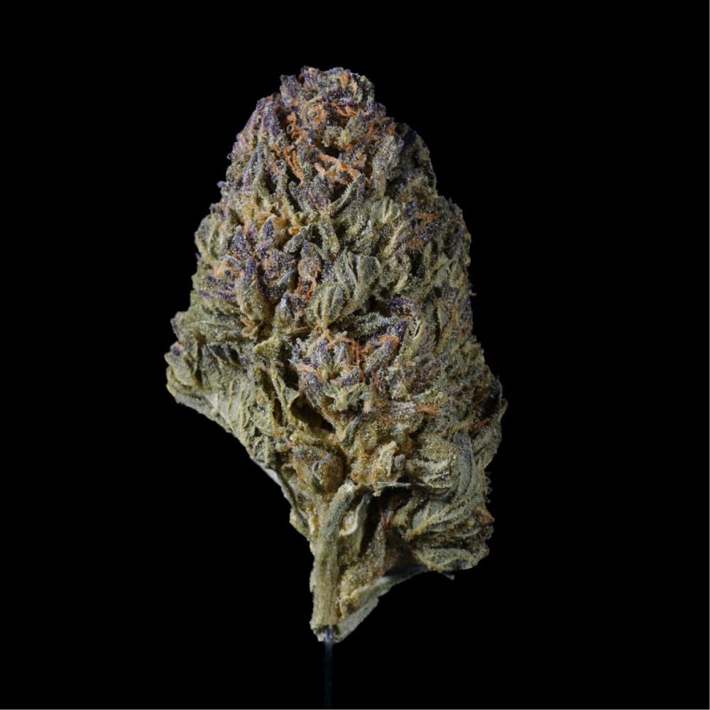 Watermelon Zkittlez THCA Flower - Lost In Translation