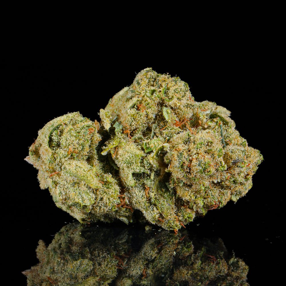 Wedding Crashers THCA Flower - Lost In Translation