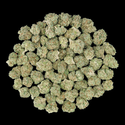 XXX THCA Flower - Lost In Translation