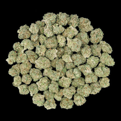 Wingsuit THCA Flower - Lost In Translation