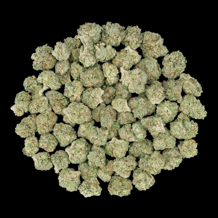Cookie Monster THCA Flower - Lost In Translation