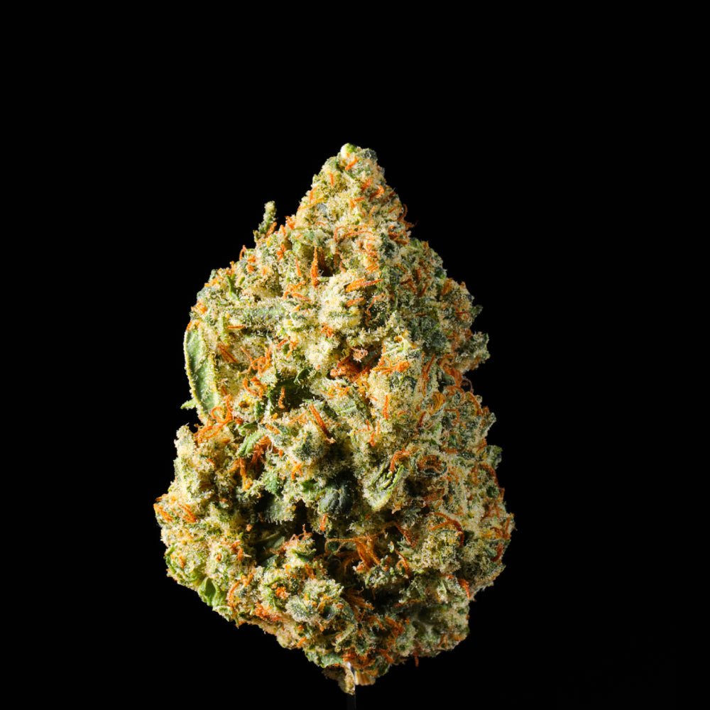 Wedding Pie THCA Flower - Lost In Translation